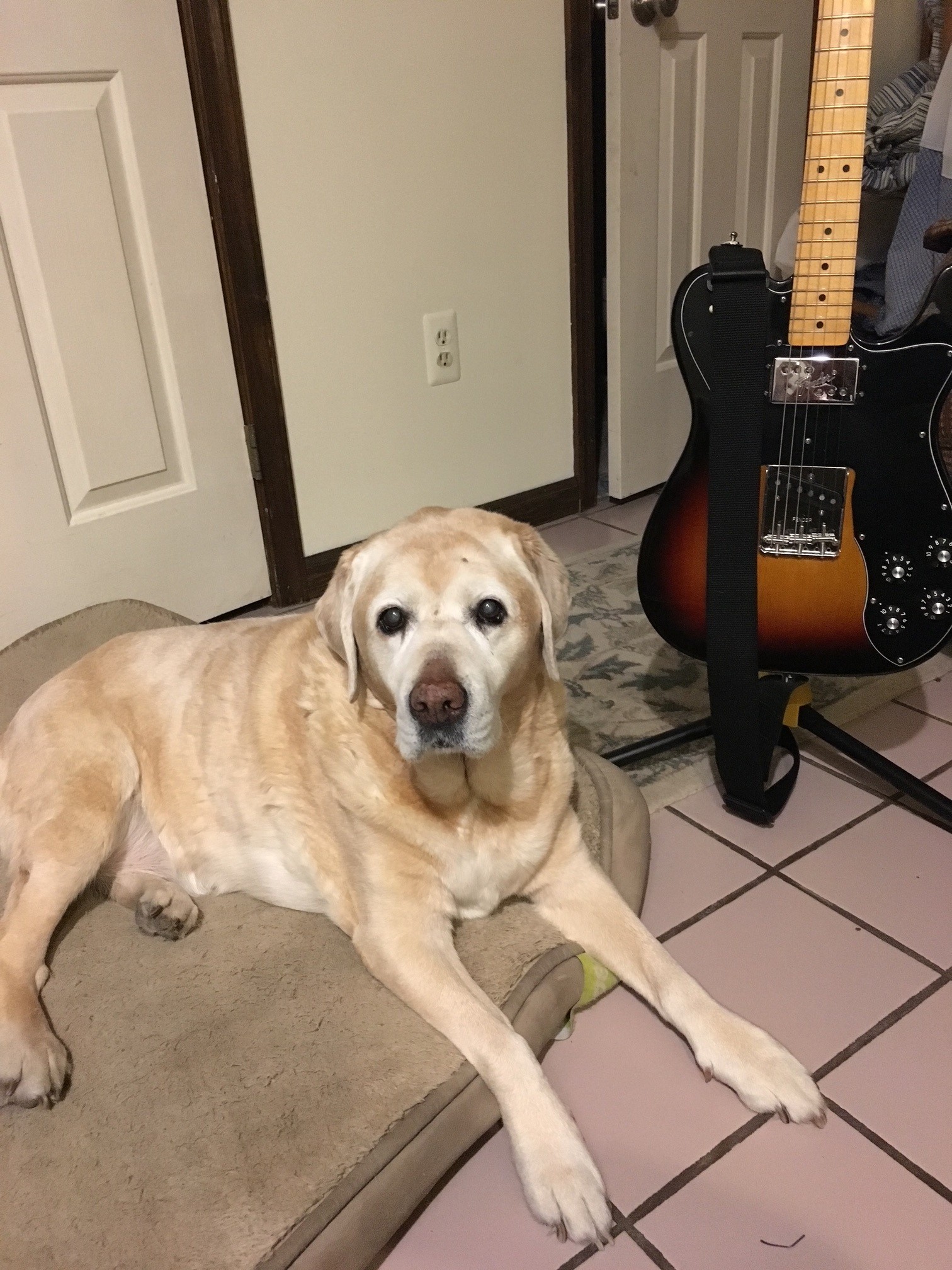 Butters next to Steve's guitar